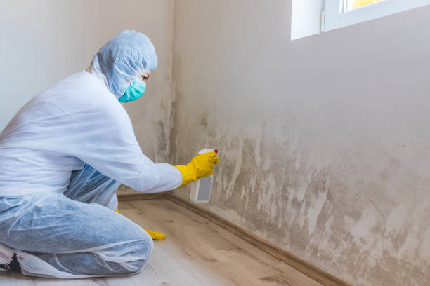 Licensed Mold Inspection service in Keyport, NJ - WQB Mold Removal