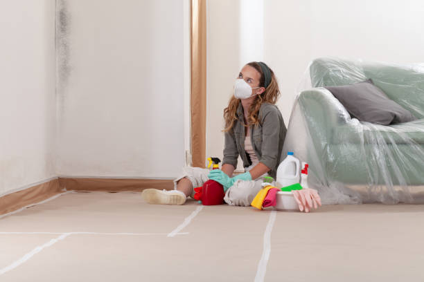 Reliable Mold Inspection contractor in Keyport, NJ by WQB Mold Removal